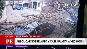 Árbol cayó sobre auto en Villa María del Triunfo. Foto y video: América Noticias