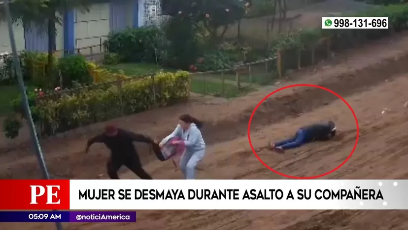 Villa María del Triunfo: Mujer se desmayó durante asalto a su compañera
