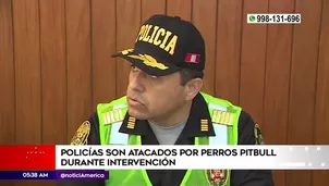 Foto y video: América Noticias