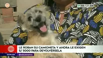 Perro del albergue "Amigos de Onur" | Video: América Noticias