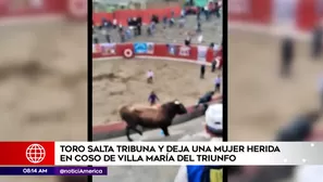 Toro saltó a tribuna en plaza de Villa María del Triunfo. América Noticias