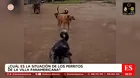 Villa Panamericana: denuncian intento de desalojo de perritos