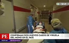 Viruela del mono: Minsa confirmó dos nuevos casos en el Perú - Noticias de maria-pia