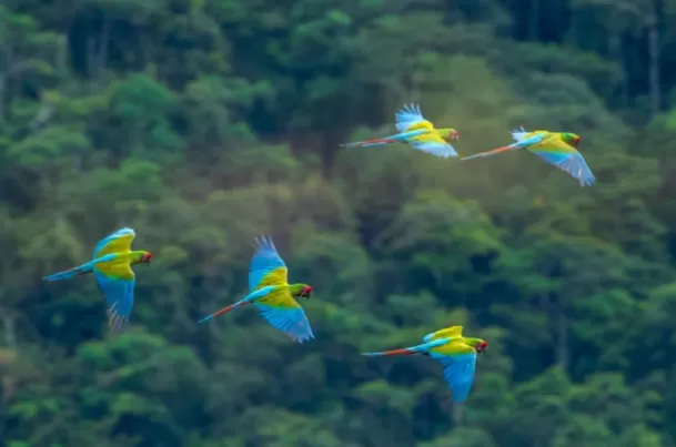 Perú favorito como mejor Destino de Naturaleza. Foto: Andina