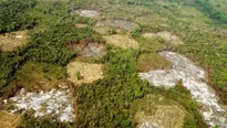 El informe Planeta Vivo afirma que el tiempo se agota para tomar acciones concretas que reviertan la tendencia de p&eacute;rdida de biodiversidad. Foto: EFE