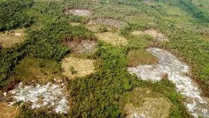 El informe Planeta Vivo afirma que el tiempo se agota para tomar acciones concretas que reviertan la tendencia de p&eacute;rdida de biodiversidad. Foto: EFE