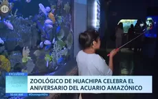 Zoológico de Huachipa celebra el aniversario del acuario amazónico - Noticias de zoologico