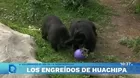 Zoológico de Huachipa celebró el Día de la Biodiversidad