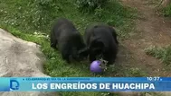 Zoológico de Huachipa celebró el Día de la Biodiversidad