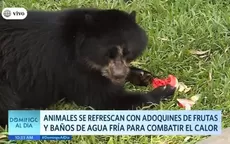 Zoológico de Huachipa: Cuidados especiales para los animales durante el verano  - Noticias de zoologico