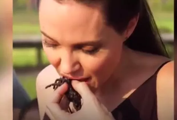 Angelina Jolie comió tarántulas y escorpiones junto a sus hijos