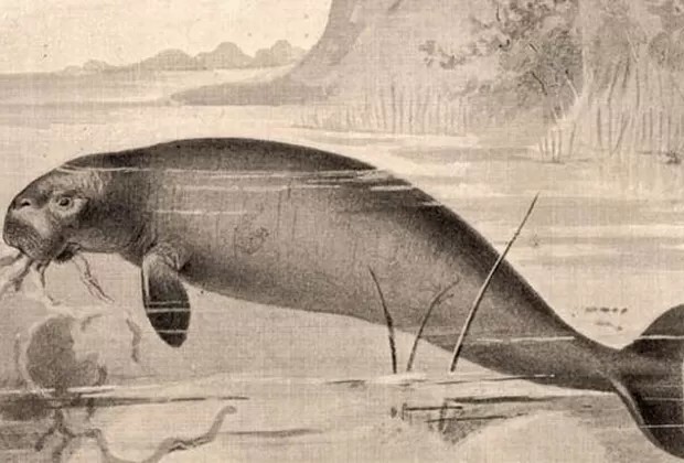 animales extintos por el hombre