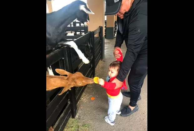 Antonella De Groot y Mauricio Diez Canseco: así de grande está su hijo Francesco