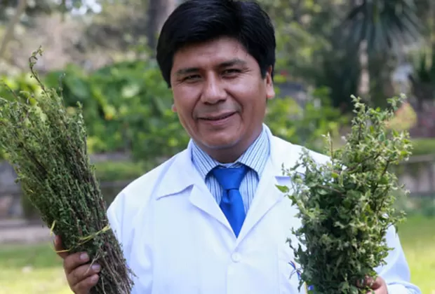 muña gastritis helicobacter pylori mario carhuapoma