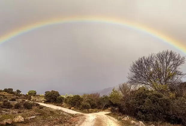 que es un bebe arcoiris