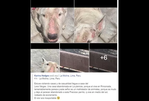 Blanca Rodríguez se defendió tras acusaciones de supuesto maltrato animal