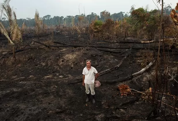 Incendio en la Amazonía de Brasil 