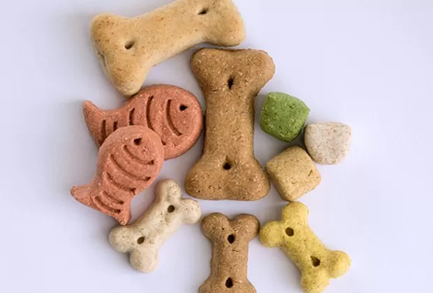 Cuándo cambiar la comida de mi mascota