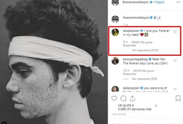 Cameron Boyce Skai Jackson