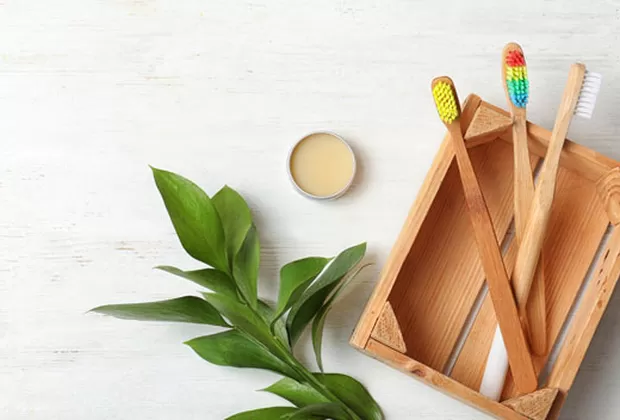 Cepillo de bambú: beneficios y cómo hacer compost