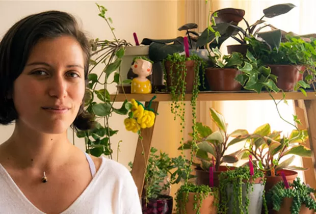 como cuidar las orquideas