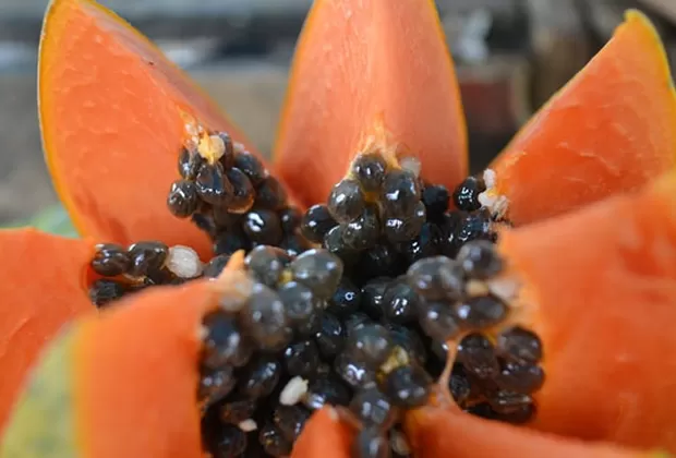 como eliminar el vello facial de forma natural