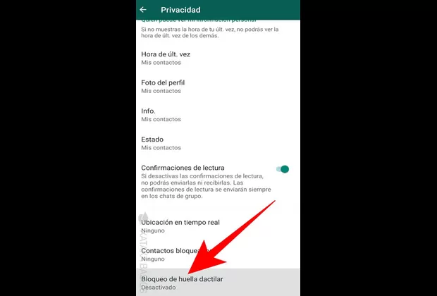 Conoce cómo activar la huella digital en WhatsApp