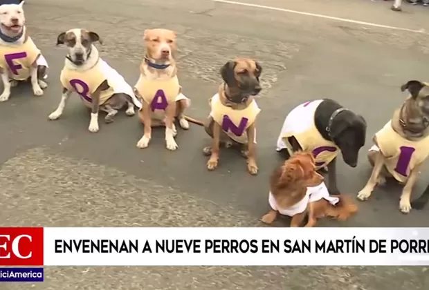 Conocido entrenador de perros denunció que envenenaron a sus 9 mascotas
