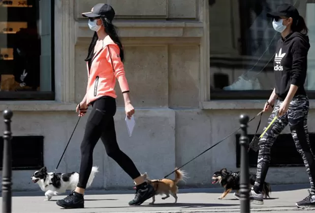 Coronavirus: ¿Cómo limpiar las patitas de tu perrito?