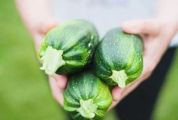 coronavirus te puedes contagiar por los alimentos