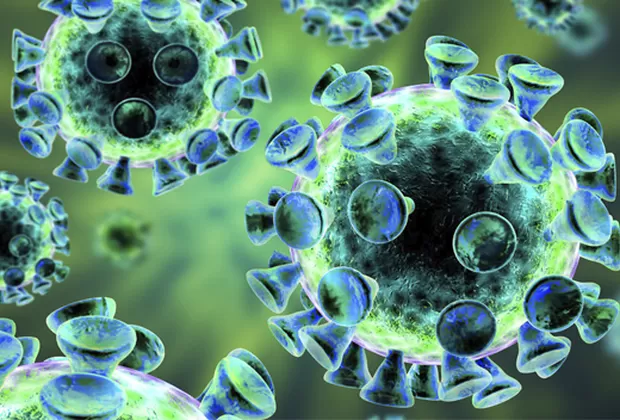 ¿Cuál es la diferencia entre virus y bacterias?