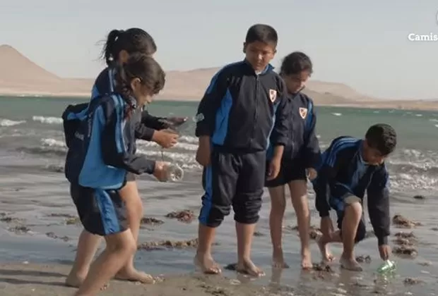 Cuando sepas quiénes limpian las playas de Paracas, ¡querrás imitarlos!