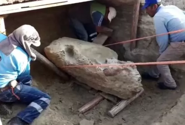 Cusco: hallan fósil de toxodonte, mamífero prehistórico extinto hace 4 millones de años