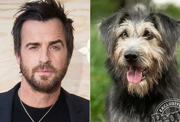 La Dama y el Vagabundo Live Action 