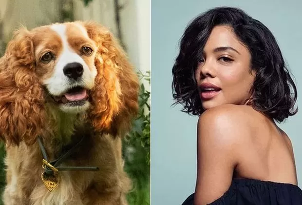 La Dama y el Vagabundo Live Action 