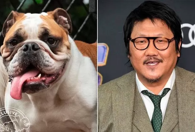 La Dama y el Vagabundo Live Action 