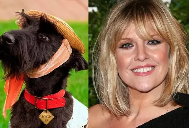 La Dama y el Vagabundo Live Action 