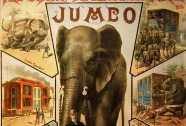 Jumbo Dumbo