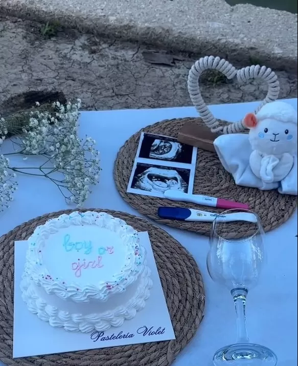 Liz Mariana y Renatto preparaon un tierno picnic para revelar el sexo de su hijo/Foto: Instagram