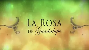 La Rosa de Guadalupe 