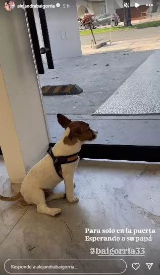 Alejandra Baigorria se derritió de amor por mascota de su hermano Sergio. Fuente: Instagram Alejandra Baigorria se derritió de amor por mascota de su hermano Sergio. Fuente: Instagram