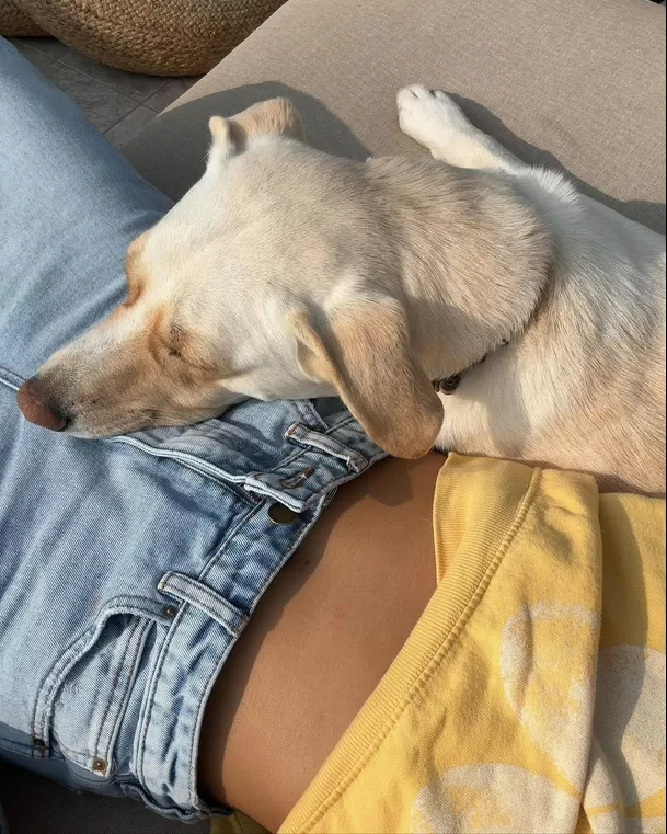 De acuerdo con Alessandra, sus mascotas se dieron cuenta de su embarazo antes que ella / Instagram