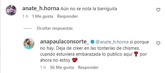 La contundente respuesta de Ana Paula Consorte sobre supuesto nuevo embarazo de Paolo Guerrero/Foto: Instagram