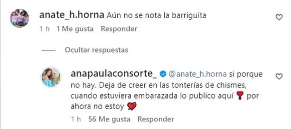 La contundente respuesta de Ana Paula Consorte sobre supuesto nuevo embarazo de Paolo Guerrero/Foto: Instagram