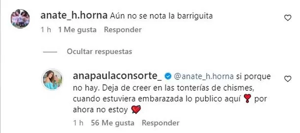 La contundente respuesta de Ana Paula Consorte sobre supuesto nuevo embarazo de Paolo Guerrero/Foto: Instagram