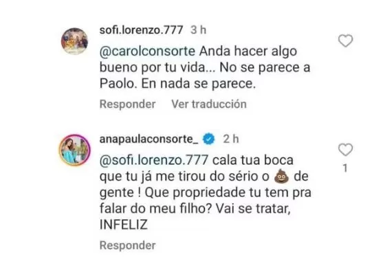 Ana Paula Consorte se molestó con usuaria / Instagram