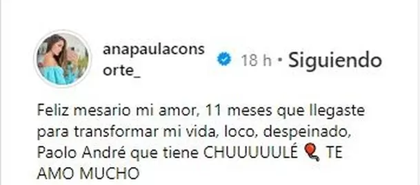 Ana Paula Consorte le dedicó este mensaje a su hijo Paolo André que cumplió 11 meses/Foto: Instagram