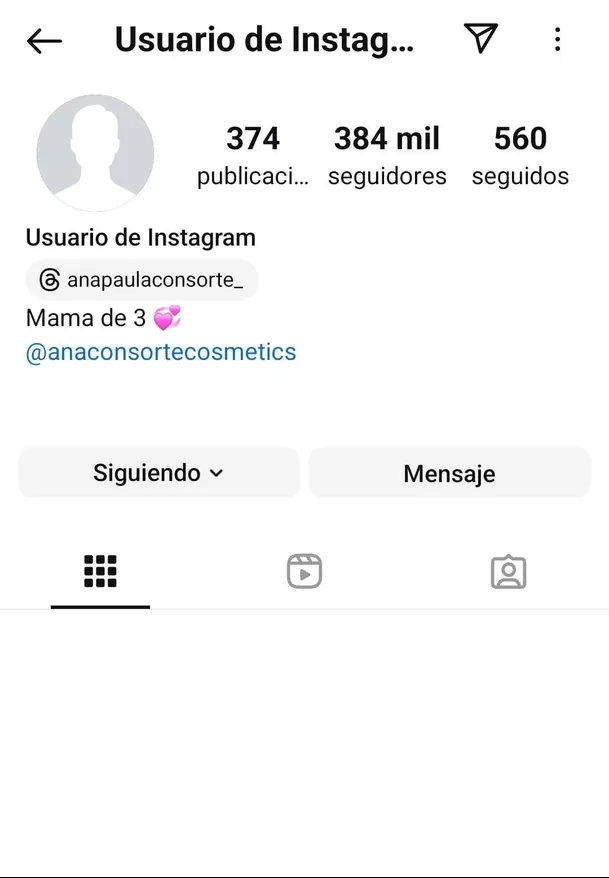 Así luce la cuenta de Instagram de Ana Paula Consorte. Fuente: Instagram