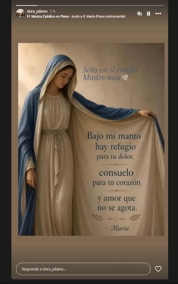 En medio de la controversia que involucra a Andrea San Martín tras la denuncia presentada por su expareja, Juan Víctor Sánchez, su madre, Dora Pilares, compartió una historia en Instagram que llamó la atención. 
