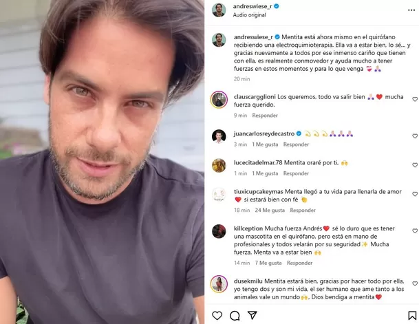 El actor Andrés Wiese contó que 'Menta' ingresó al quirófano para su tratamiento contra el cáncer / Instagram El actor Andrés Wiese contó que 'Menta' ingresó al quirófano para su tratamiento contra el cáncer / Instagram